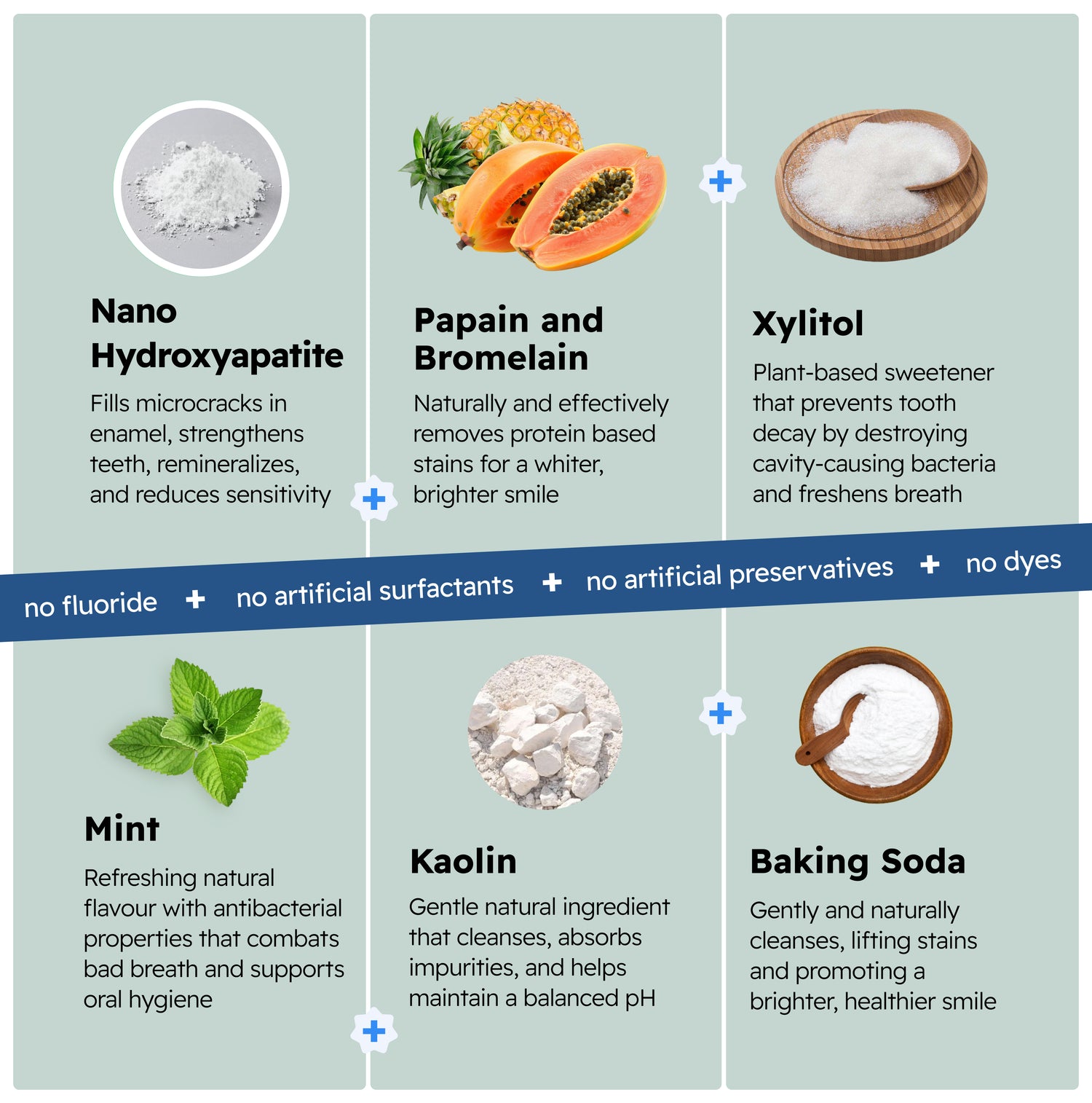 Ecosweetsmile ingredients infographic showing papain, bromelain, baking soda, xylitol, mint, and kaolin with their benefits